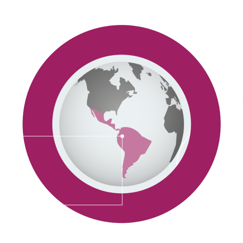 Globe illustration highlighting Latin America in pink, with a magenta circular border.